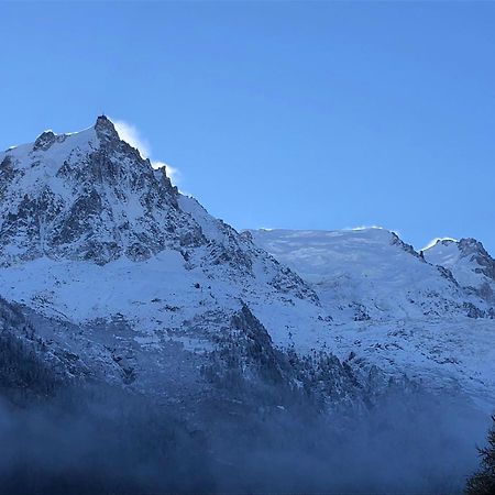 Appartement Les Alpins - Centre De Chamonix - Renove Avec Jardin Et Vue Imprenable Sur Le Montblanc Extérieur photo